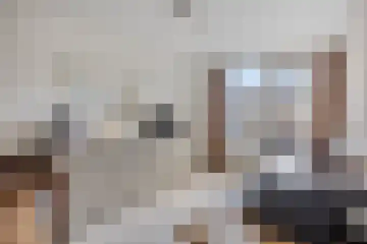Kometenlaan 29 Oosterhout thumbnail 16