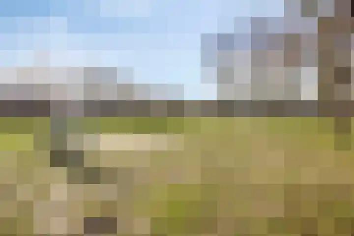 Kometenlaan 29 Oosterhout thumbnail 25