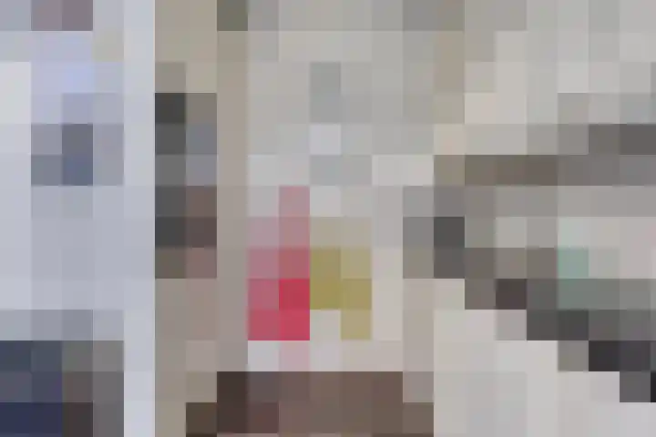 Kometenlaan 29 Oosterhout thumbnail 8