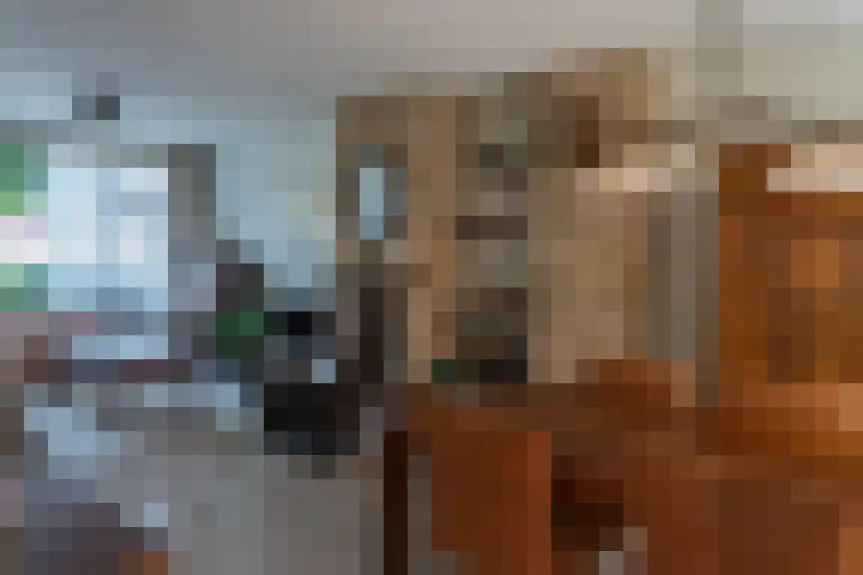 Kometenlaan 30 Bergen op Zoom thumbnail 5