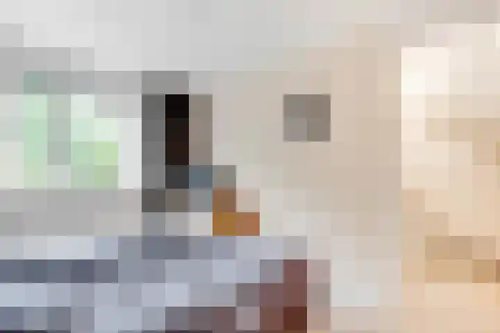 Kometenlaan 30 Huis ter Heide thumbnail 16