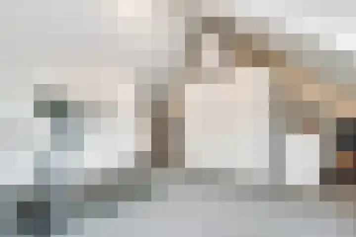 Kometenlaan 30 Huis ter Heide thumbnail 22