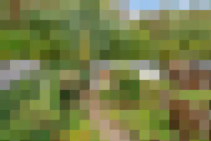 Kometenlaan 30 Huis ter Heide thumbnail 24