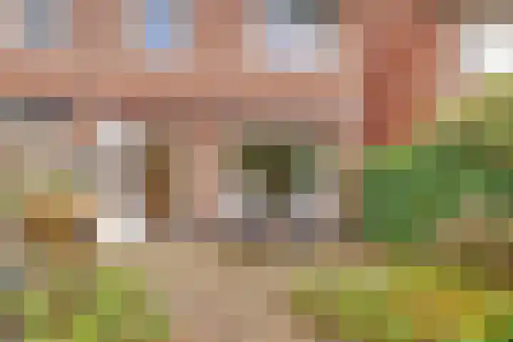 Kometenlaan 30 Huis ter Heide thumbnail 25
