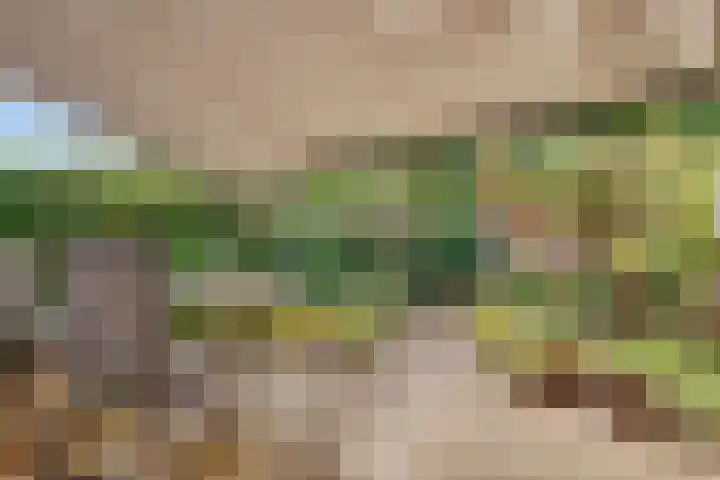Kometenlaan 30 Huis ter Heide thumbnail 26