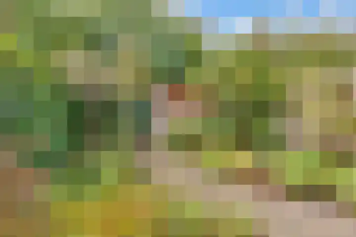 Kometenlaan 30 Huis ter Heide thumbnail 28