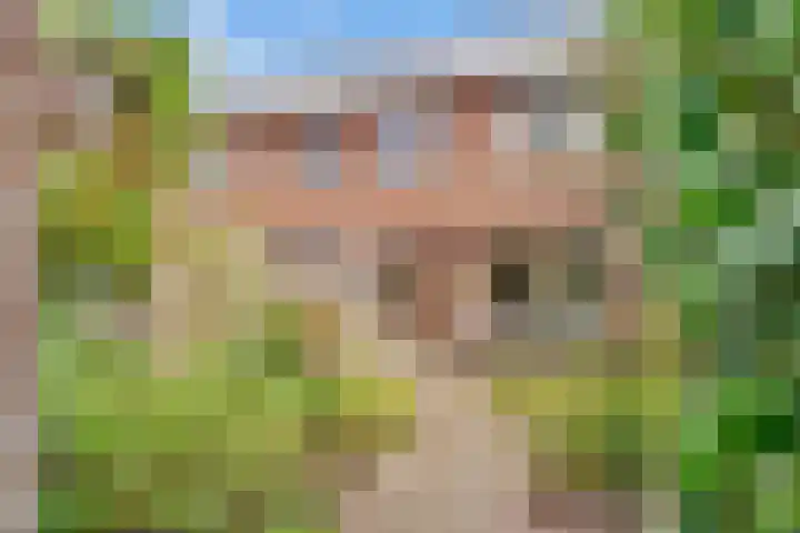 Kometenlaan 30 Huis ter Heide thumbnail 29