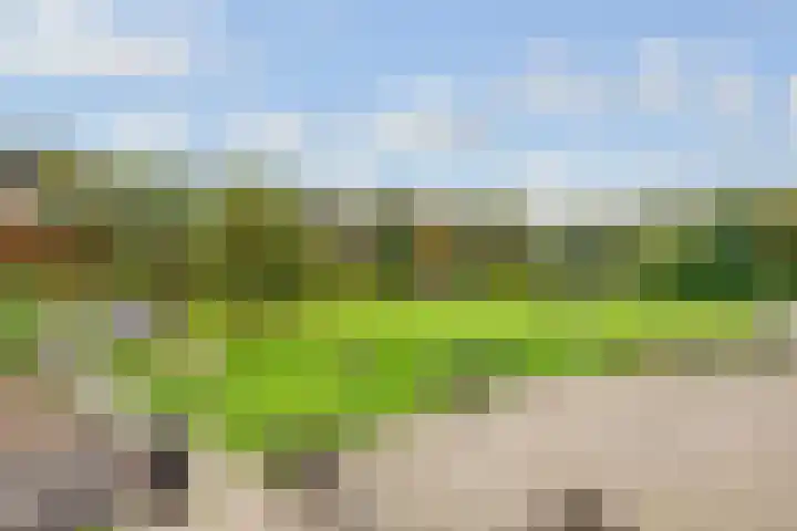 Kometenlaan 30 Huis ter Heide thumbnail 30