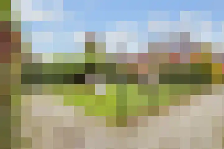 Kometenlaan 30 Huis ter Heide thumbnail 31