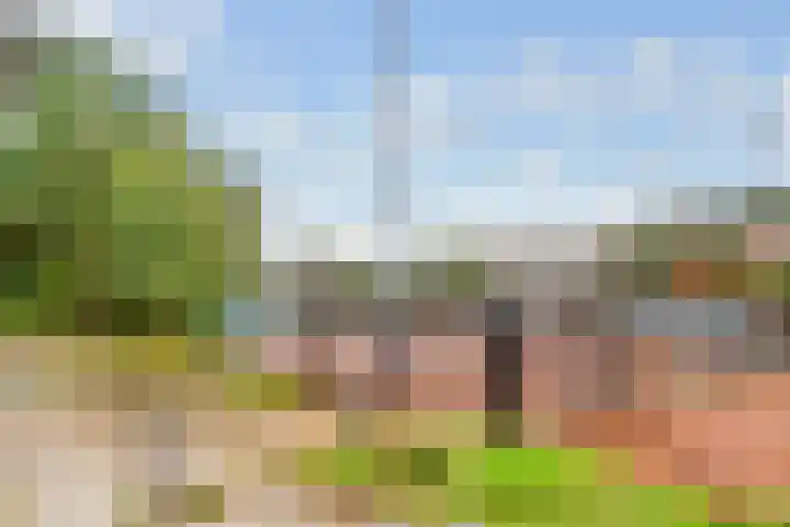 Kometenlaan 30 Huis ter Heide thumbnail 32