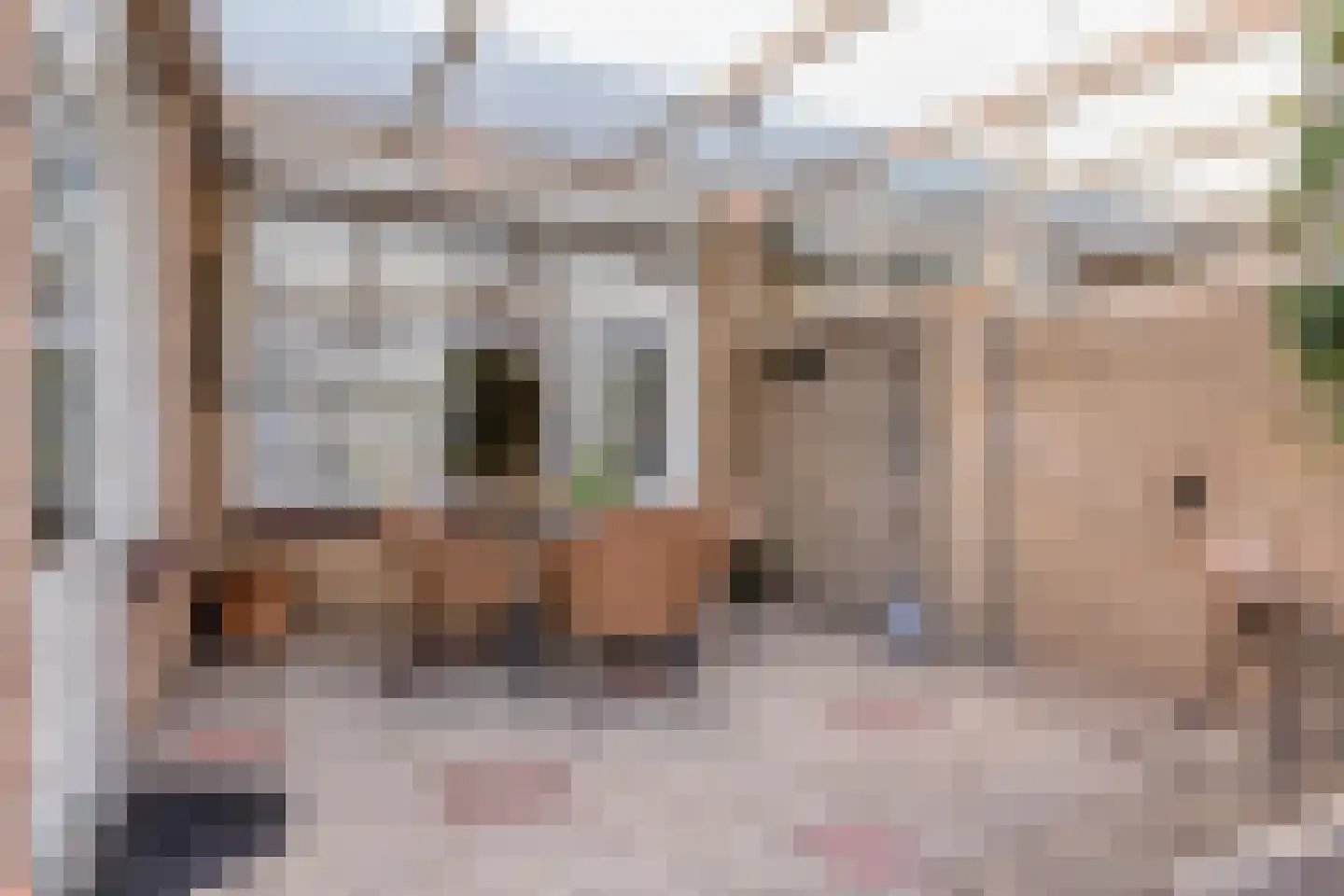 Kometenlaan 33 Veldhoven thumbnail 22
