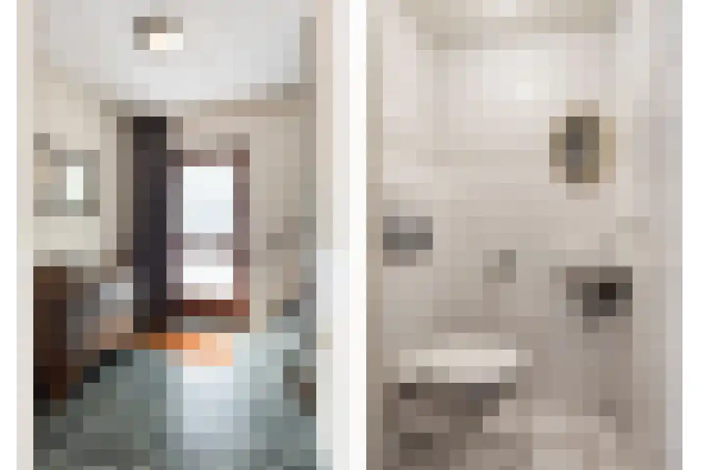 Kometenlaan 33 Veldhoven thumbnail 9