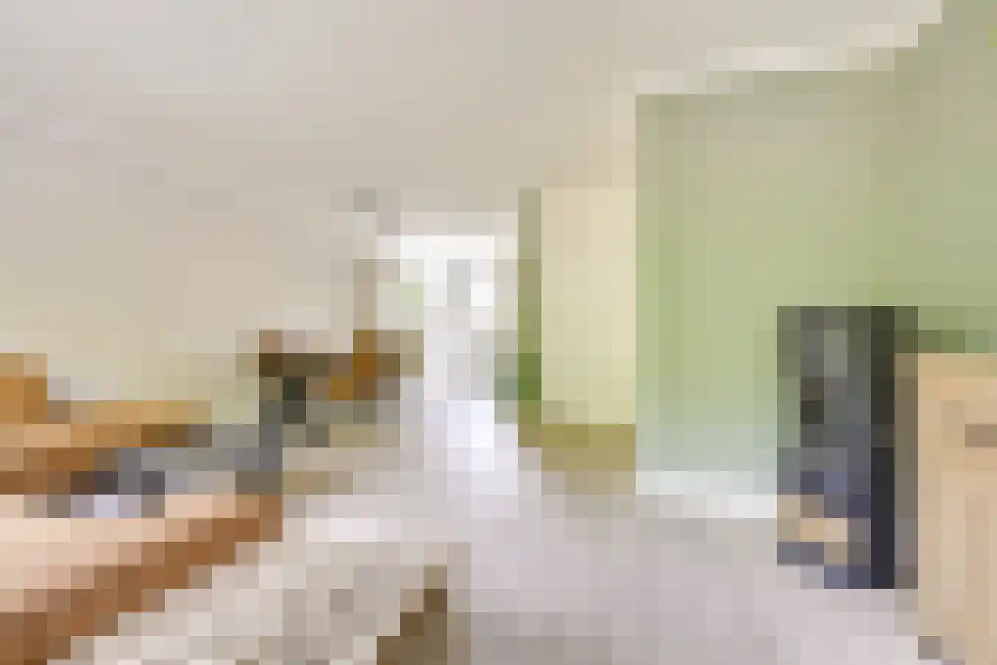Kometenlaan 38 Huis ter Heide thumbnail 16