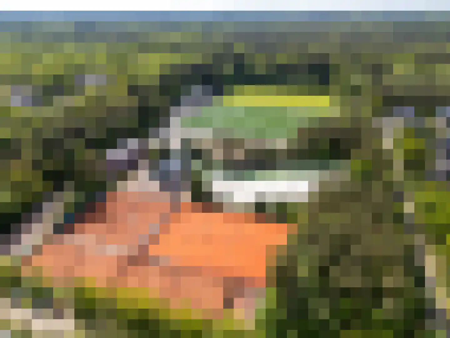 Kometenlaan 38 Huis ter Heide thumbnail 45