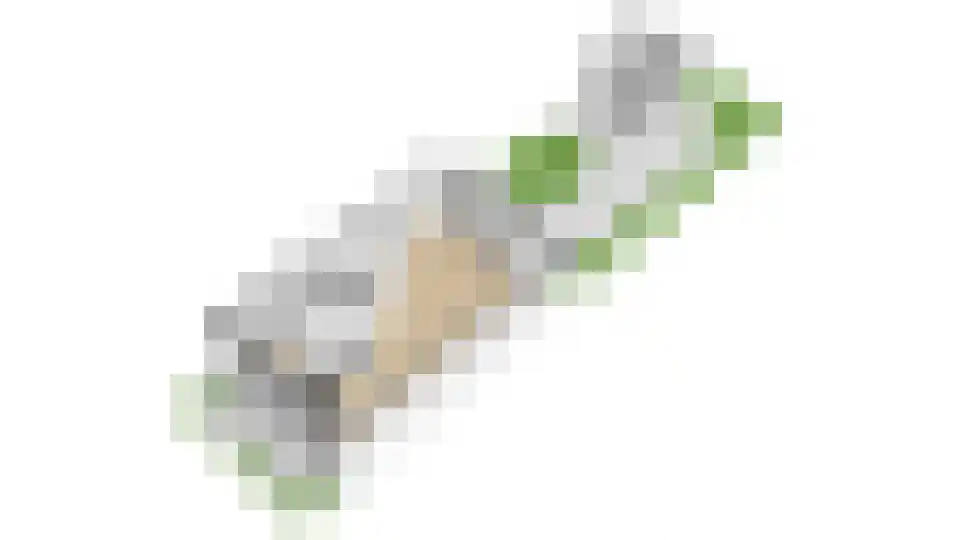 Kometenlaan 38 Huis ter Heide thumbnail 60