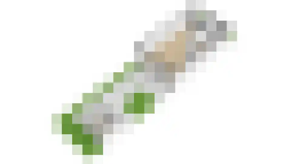 Kometenlaan 38 Huis ter Heide thumbnail 61
