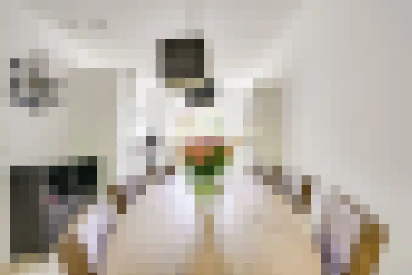 Kometenlaan 40 Huis ter Heide thumbnail 12