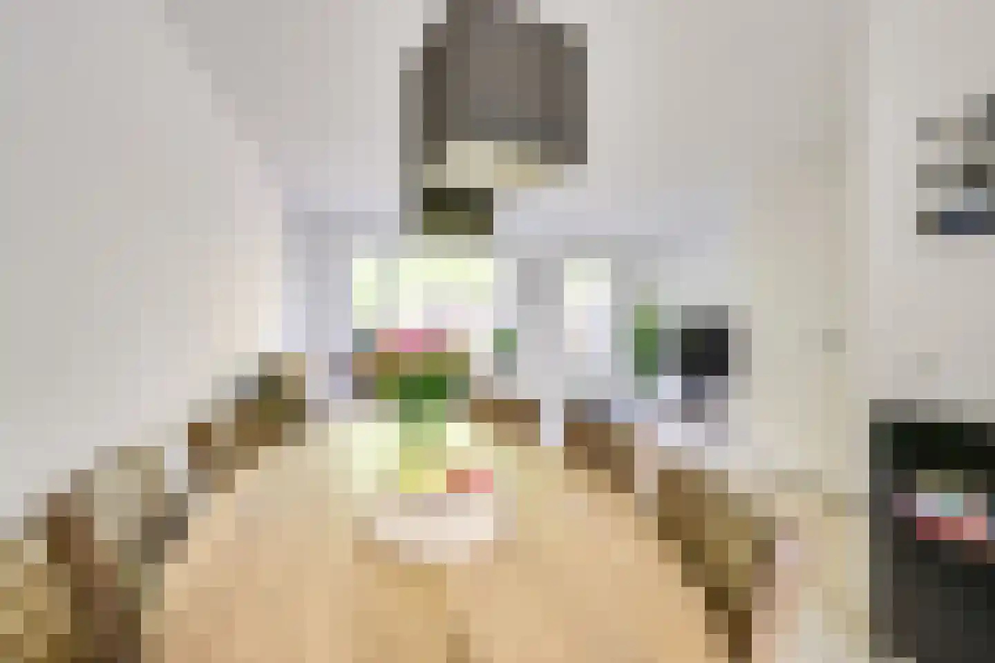 Kometenlaan 40 Huis ter Heide thumbnail 14