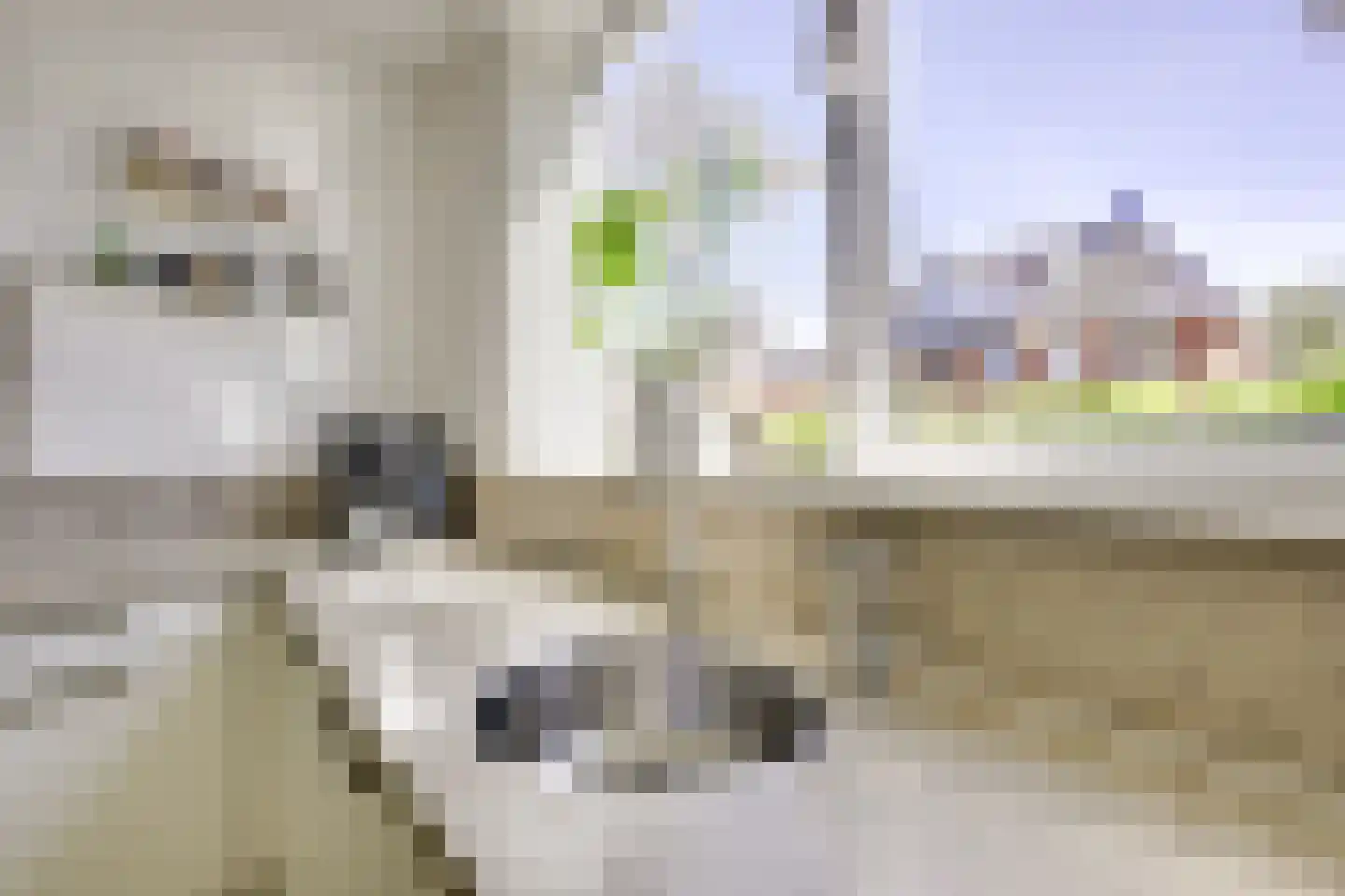 Kometenlaan 40 Huis ter Heide thumbnail 17