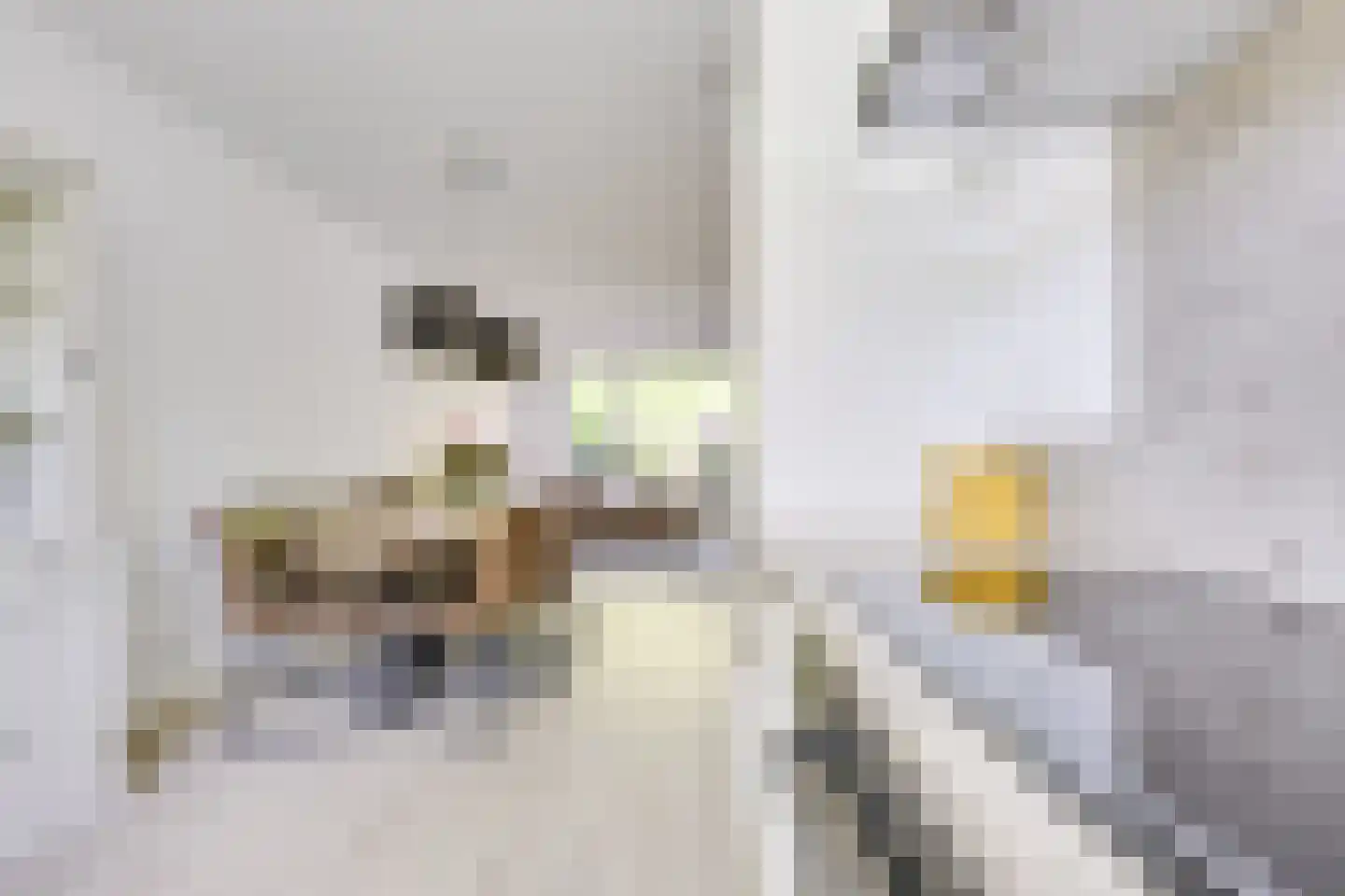 Kometenlaan 40 Huis ter Heide thumbnail 19