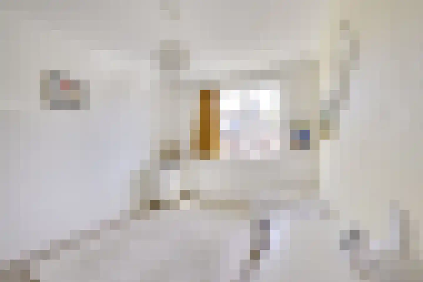 Kometenlaan 40 Huis ter Heide thumbnail 34