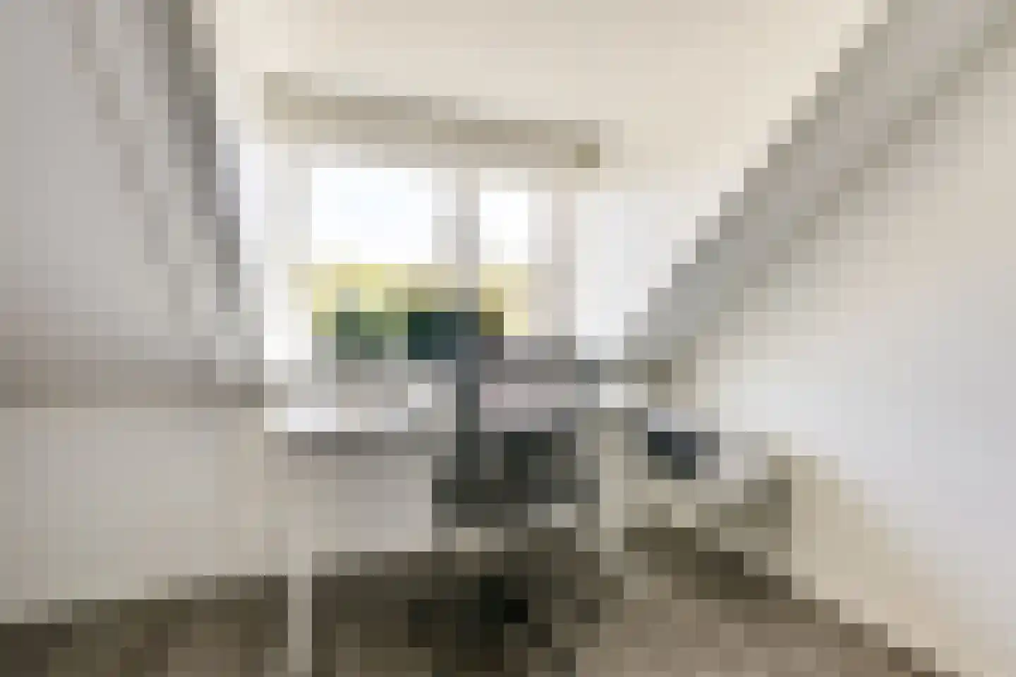 Kometenlaan 40 Huis ter Heide thumbnail 43