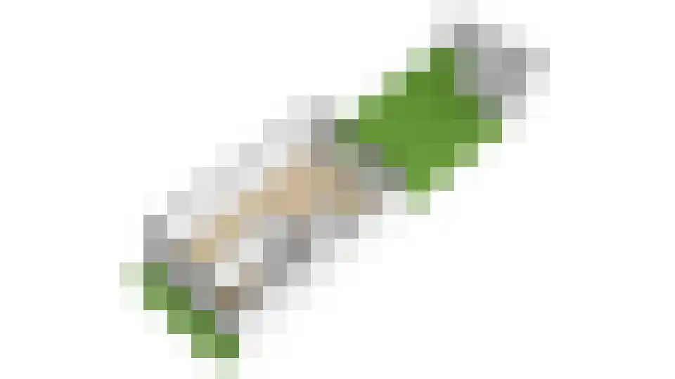 Kometenlaan 40 Huis ter Heide thumbnail 62