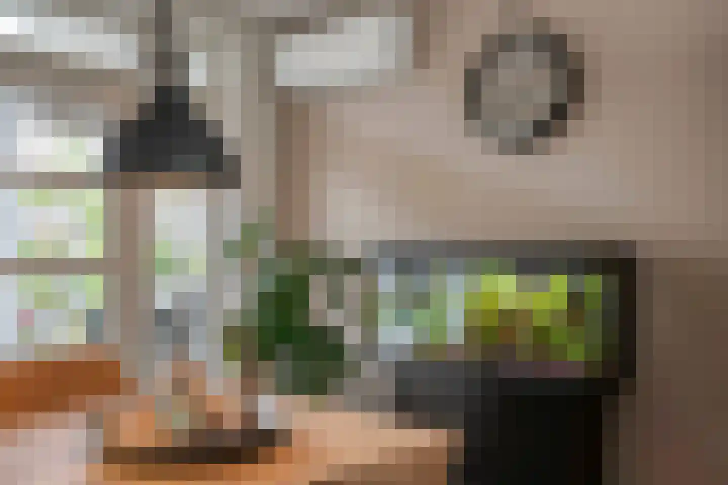 Kometenlaan 43 Veldhoven thumbnail 8