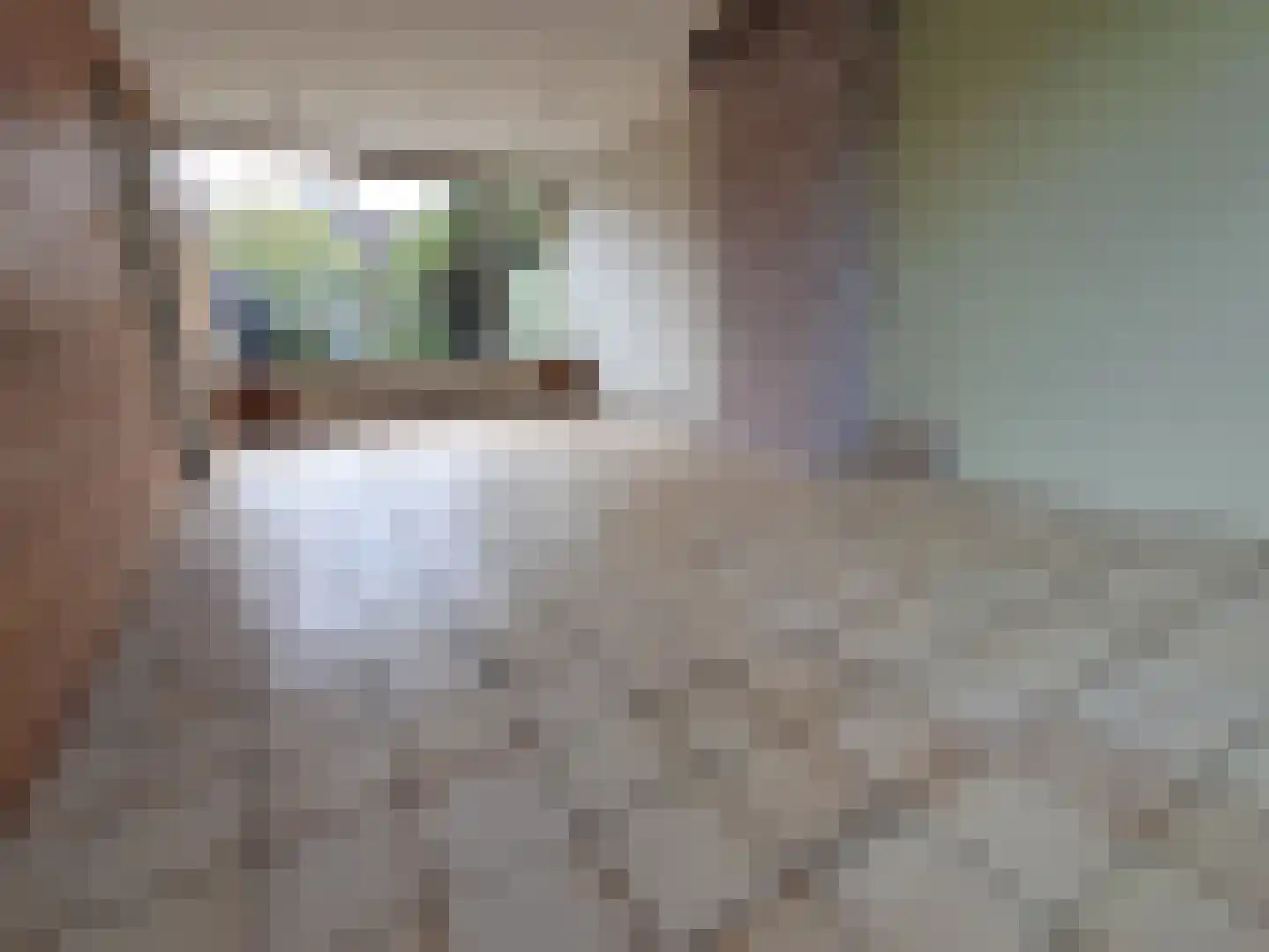Kometenlaan 50 Eindhoven thumbnail 4