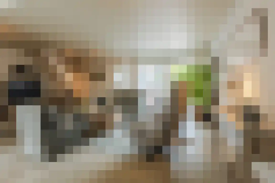 Kometenlaan 59 Bergen op Zoom thumbnail 8