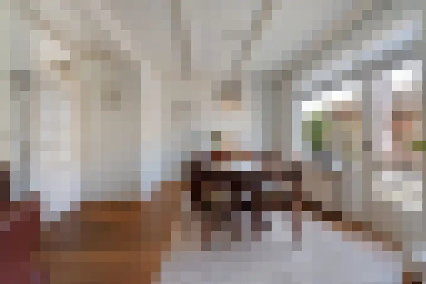 Kometenlaan 7 Hardenberg thumbnail 12