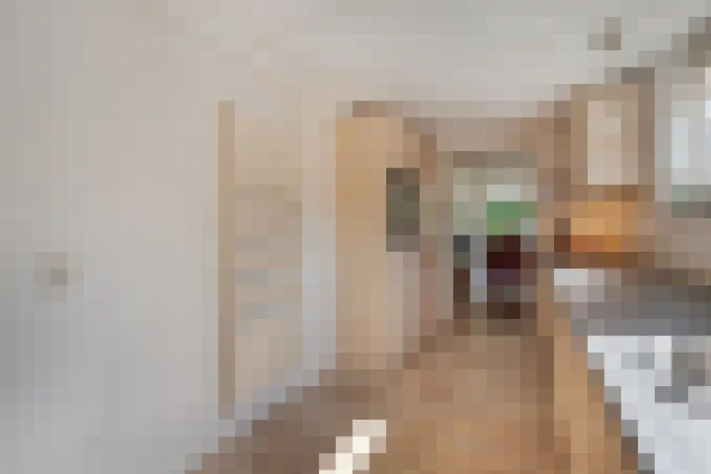 Kometenlaan 7 Hardenberg thumbnail 15