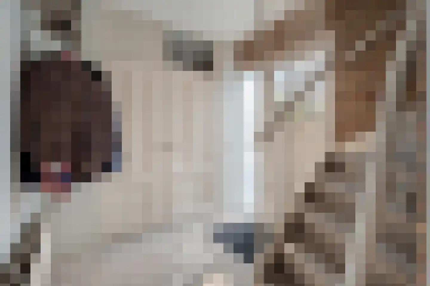 Kometenlaan 7 Hardenberg thumbnail 16