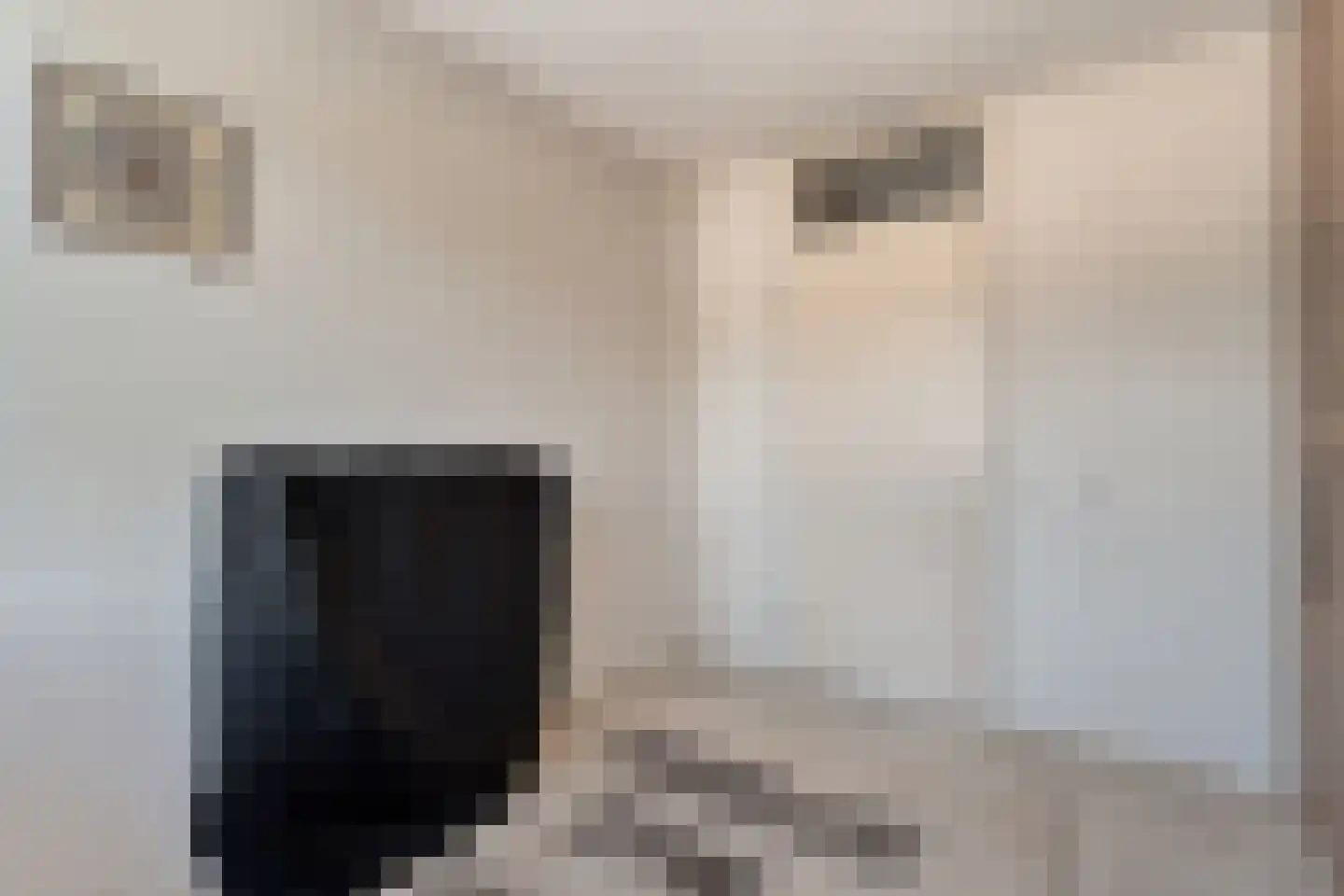 Kometenlaan 7 Hardenberg thumbnail 20