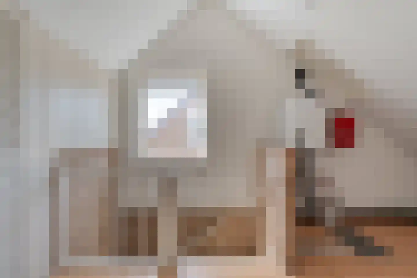 Kometenlaan 7 Hardenberg thumbnail 27