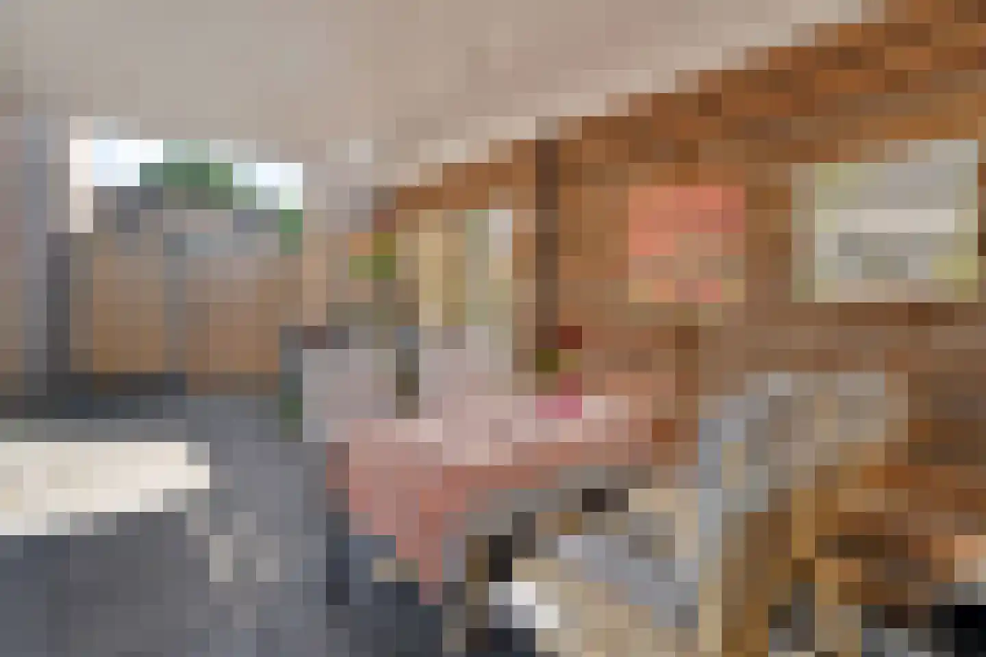 Kometenlaan 7 Hardenberg thumbnail 35