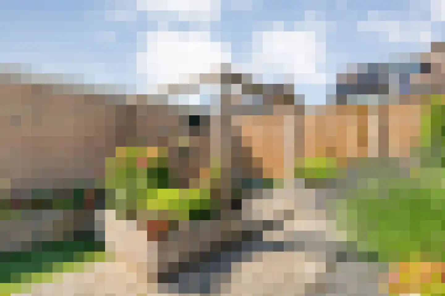 Kometenlaan 7 Hardenberg thumbnail 38