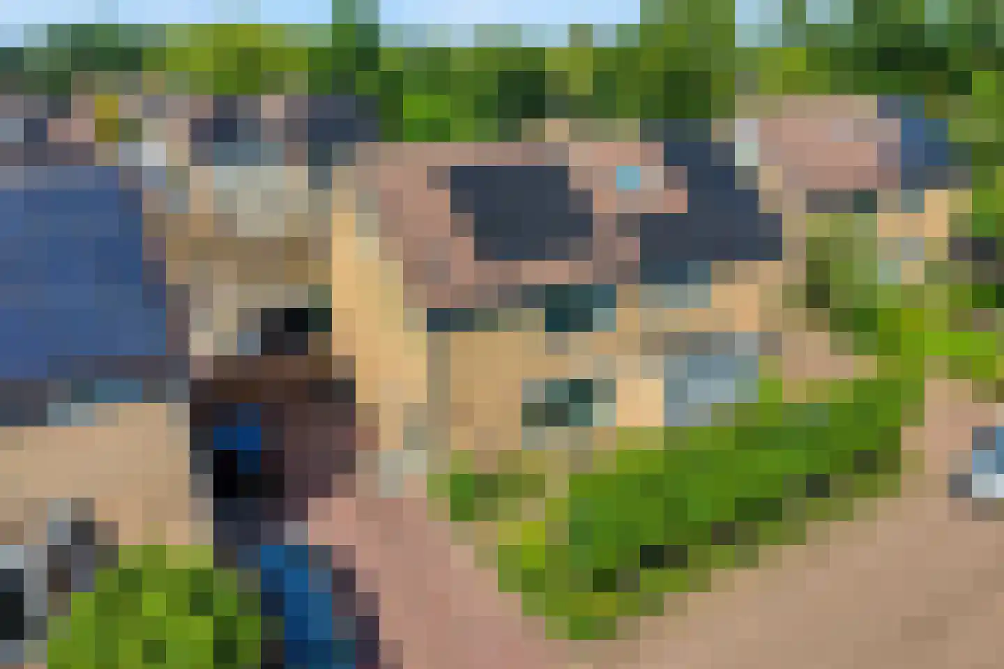 Kometenlaan 7 Hardenberg thumbnail 4
