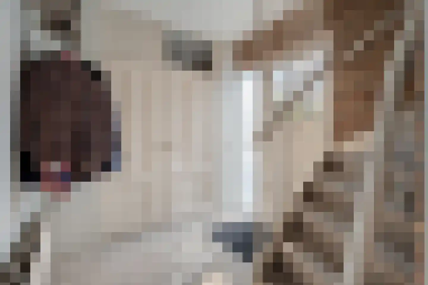 Kometenlaan 7 Hardenberg thumbnail 7