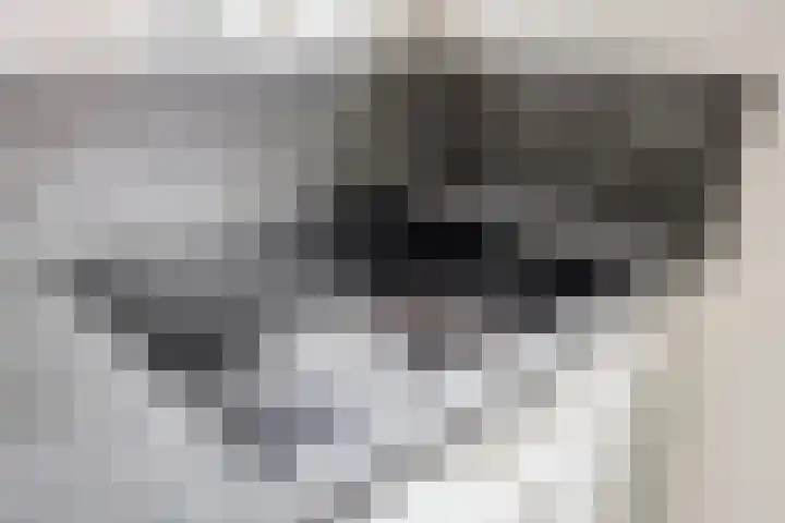 Kometenlaan 71 Eindhoven thumbnail 12