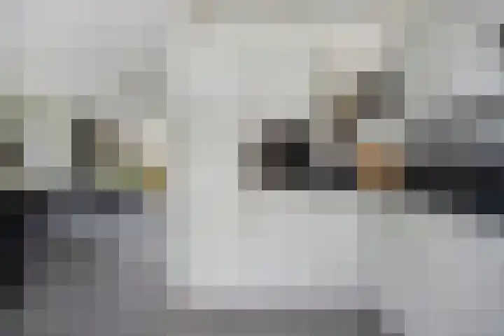 Kometenlaan 71 Eindhoven thumbnail 13