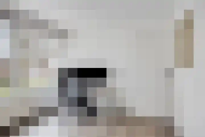 Kometenlaan 71 Eindhoven thumbnail 19