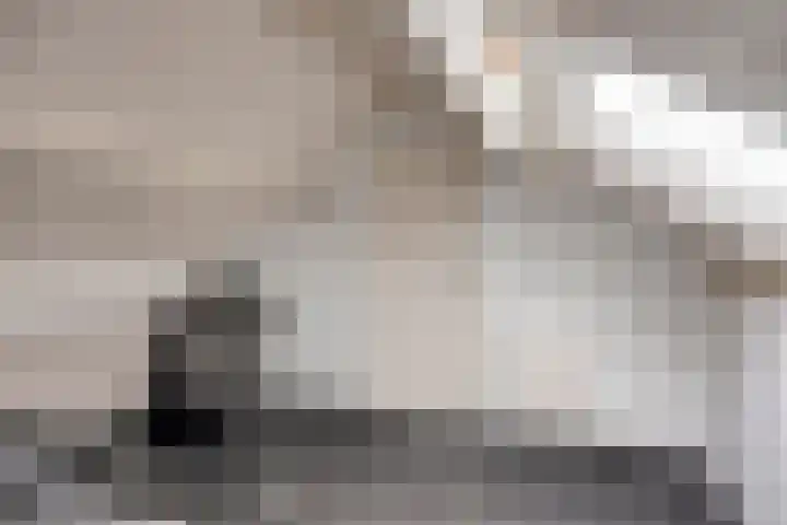 Kometenlaan 71 Eindhoven thumbnail 27