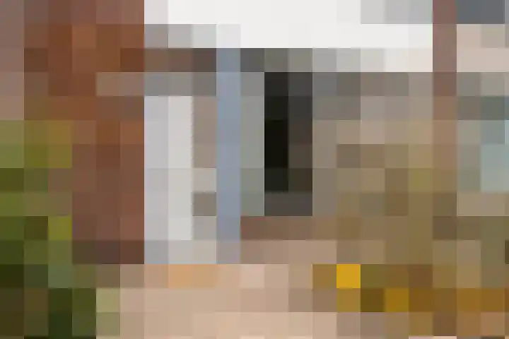 Kometenlaan 71 Eindhoven thumbnail 34