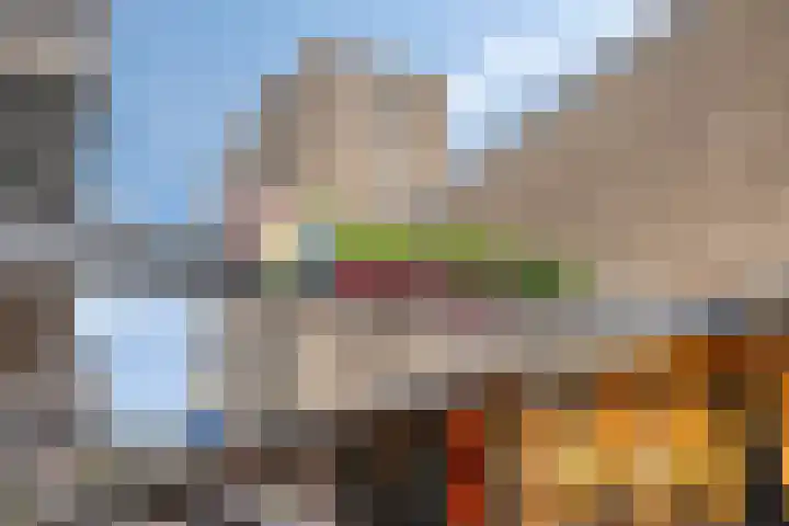 Kometenlaan 71 Eindhoven thumbnail 36