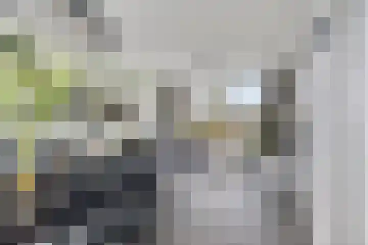 Kometenlaan 71 Eindhoven thumbnail 5