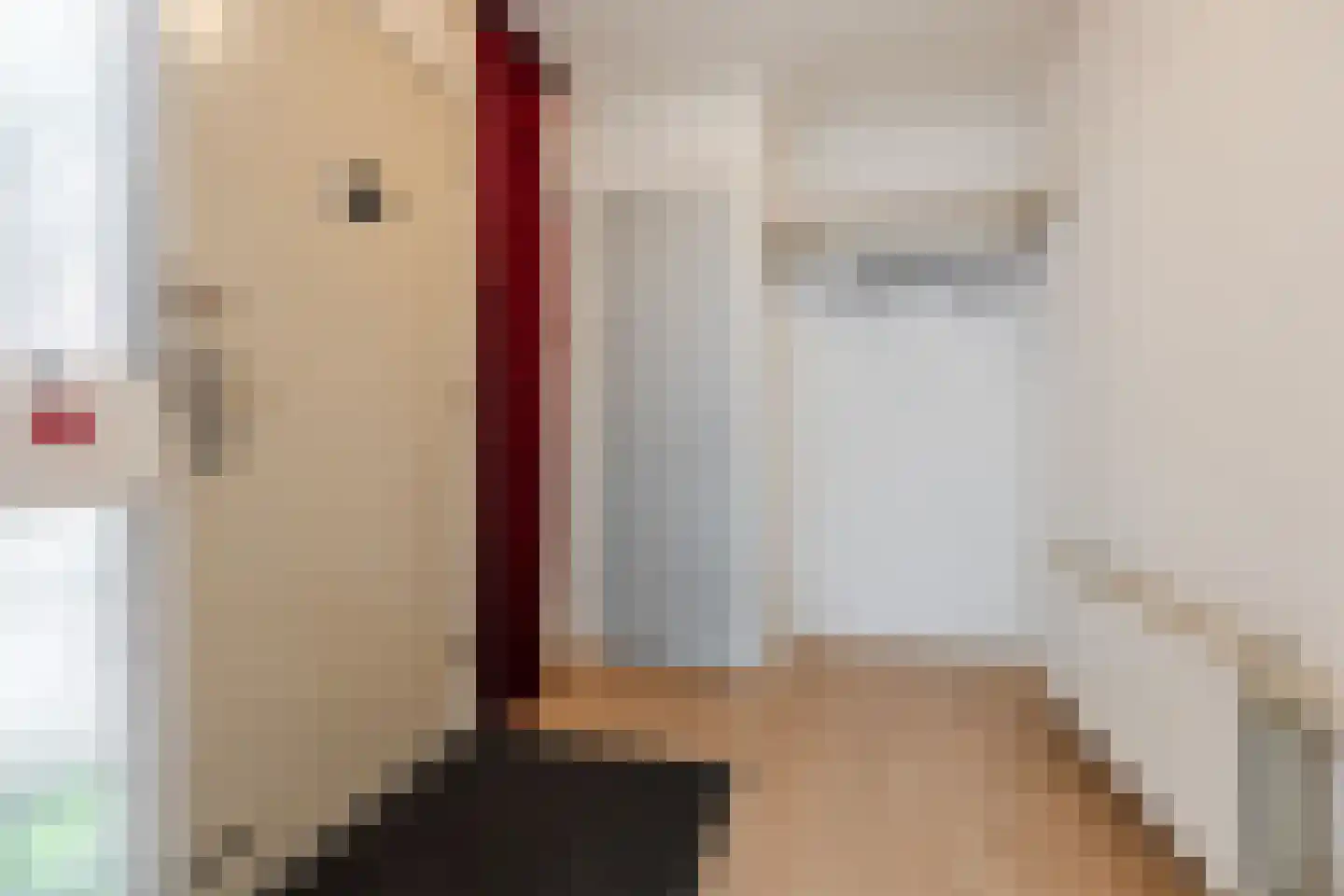 Kometenlaan 77 Bergen op Zoom thumbnail 25