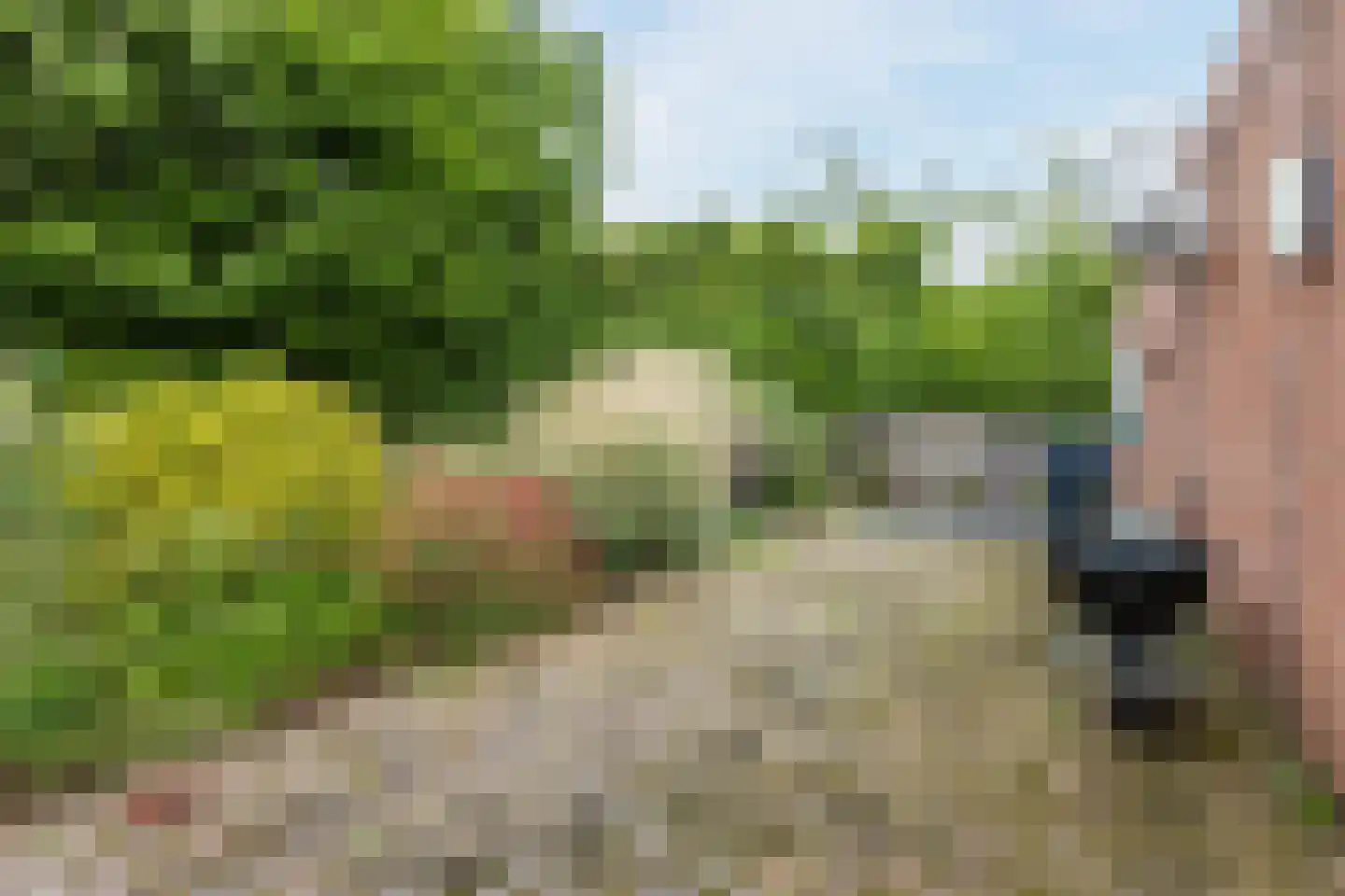 Kometenlaan 77 Bergen op Zoom thumbnail 29
