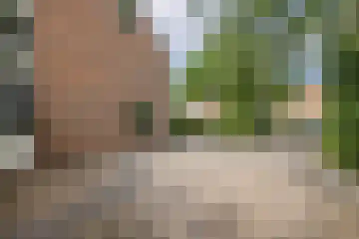Kometenlaan 8 Maartensdijk thumbnail 10