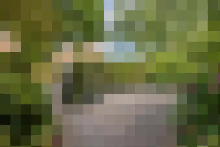 Kometenlaan 8 Maartensdijk thumbnail 12
